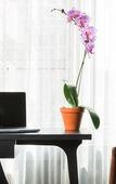 Туры в отель The Tillary Hotel Туры в отель The Tillary Hotel