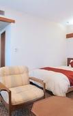 Туры в отель Kurashiki Kokusai Hotel Туры в отель Kurashiki Kokusai Hotel