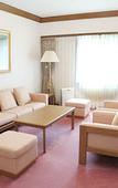 Туры в отель Kurashiki Kokusai Hotel Туры в отель Kurashiki Kokusai Hotel
