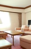 Туры в отель Kurashiki Kokusai Hotel Туры в отель Kurashiki Kokusai Hotel
