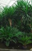 Туры в отель Venicegreen Agriresort Туры в отель Venicegreen Agriresort