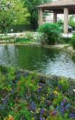 Туры в отель Venicegreen Agriresort Туры в отель Venicegreen Agriresort