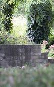 Туры в отель Venicegreen Agriresort Туры в отель Venicegreen Agriresort