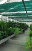 Туры в отель Venicegreen Agriresort Туры в отель Venicegreen Agriresort