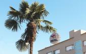 Туры в отель Hotel Consentido Туры в отель Hotel Consentido
