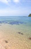 Туры в отель Andalay Beach Resort Koh Libong Туры в отель Andalay Beach Resort Koh Libong