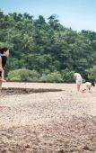 Туры в отель Andalay Beach Resort Koh Libong Туры в отель Andalay Beach Resort Koh Libong