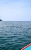 Туры в отель Andalay Beach Resort Koh Libong Туры в отель Andalay Beach Resort Koh Libong