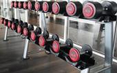 Туры в отель Olive Tree Hotel Туры в отель Olive Tree Hotel