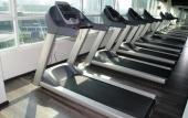 Туры в отель Olive Tree Hotel Туры в отель Olive Tree Hotel