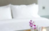 Туры в отель Olive Tree Hotel Туры в отель Olive Tree Hotel