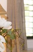 Туры в отель Zephyrus Boutique Accommodation Туры в отель Zephyrus Boutique Accommodation
