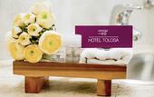 Туры в отель Hotel Tolosa Туры в отель Hotel Tolosa