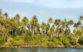 Туры в отель Shantaa Resort Туры в отель Shantaa Resort