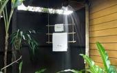 Туры в отель Shantaa Resort Туры в отель Shantaa Resort