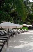 Туры в отель Shantaa Resort Туры в отель Shantaa Resort