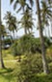 Туры в отель Shantaa Resort Туры в отель Shantaa Resort