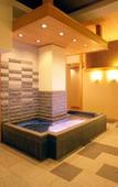 Туры в отель Shiretoko Daiichi Hotel Туры в отель Shiretoko Daiichi Hotel
