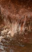 Туры в отель Dormy Inn Abashiri Natural Hot Spring Туры в отель Dormy Inn Abashiri Natural Hot Spring