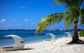 Туры в отель Kimpton Seafire Resort + Spa by IHG Туры в отель Kimpton Seafire Resort + Spa by IHG