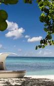 Туры в отель Kimpton Seafire Resort + Spa by IHG Туры в отель Kimpton Seafire Resort + Spa by IHG