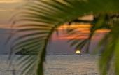 Туры в отель Kimpton Seafire Resort + Spa by IHG Туры в отель Kimpton Seafire Resort + Spa by IHG