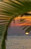 Туры в отель Kimpton Seafire Resort + Spa by IHG Туры в отель Kimpton Seafire Resort + Spa by IHG