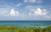 Туры в отель Kimpton Seafire Resort + Spa by IHG Туры в отель Kimpton Seafire Resort + Spa by IHG