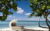 Туры в отель Kimpton Seafire Resort + Spa by IHG Туры в отель Kimpton Seafire Resort + Spa by IHG