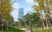 Туры в отель Hilton Jinan South Hotel & Residences Туры в отель Hilton Jinan South Hotel & Residences