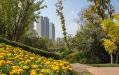 Туры в отель Hilton Jinan South Hotel & Residences Туры в отель Hilton Jinan South Hotel & Residences