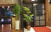 Туры в отель Noel Business Hotel Туры в отель Noel Business Hotel