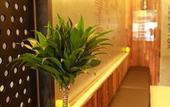 Туры в отель Noel Business Hotel Туры в отель Noel Business Hotel