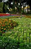 Туры в отель Flora Creek Chiang Mai Туры в отель Flora Creek Chiang Mai