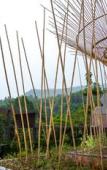 Туры в отель Flora Creek Chiang Mai Туры в отель Flora Creek Chiang Mai