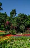 Туры в отель Flora Creek Chiang Mai Туры в отель Flora Creek Chiang Mai