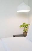 Туры в отель Flora Creek Chiang Mai Туры в отель Flora Creek Chiang Mai