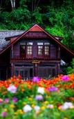 Туры в отель Flora Creek Chiang Mai Туры в отель Flora Creek Chiang Mai