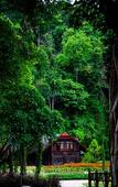 Туры в отель Flora Creek Chiang Mai Туры в отель Flora Creek Chiang Mai