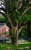 Туры в отель Flora Creek Chiang Mai Туры в отель Flora Creek Chiang Mai