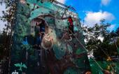 Туры в отель The Manor at Camp John Hay Туры в отель The Manor at Camp John Hay