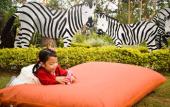 Туры в отель The Manor at Camp John Hay Туры в отель The Manor at Camp John Hay