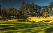 Туры в отель The Manor at Camp John Hay Туры в отель The Manor at Camp John Hay