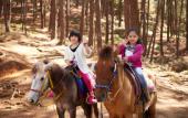 Туры в отель The Manor at Camp John Hay Туры в отель The Manor at Camp John Hay