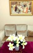 Туры в отель Vienna International Qianhai Branch Туры в отель Vienna International Qianhai Branch