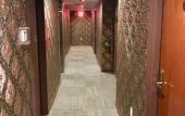 Туры в отель Hotel Mimosa Туры в отель Hotel Mimosa