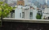 Туры в отель The Ridge Hotel Туры в отель The Ridge Hotel