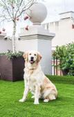 Туры в отель 200 Rooms & Terrace Туры в отель 200 Rooms & Terrace