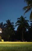 Туры в отель Koh Kood BED's Туры в отель Koh Kood BED's