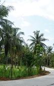 Туры в отель Koh Kood BED's Туры в отель Koh Kood BED's
